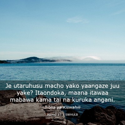 Picture 03 - Mithali 23:5 SWHULB - Je utaruhusu macho yako yaangaze juu yake? - Bible Verse Picture