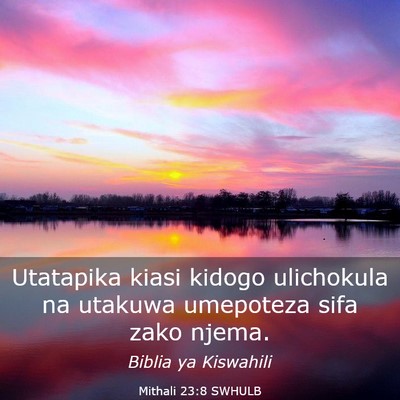 Picture 03 - Mithali 23:8 SWHULB - Utatapika kiasi kidogo ulichokula na utakuwa - Bible Verse Picture