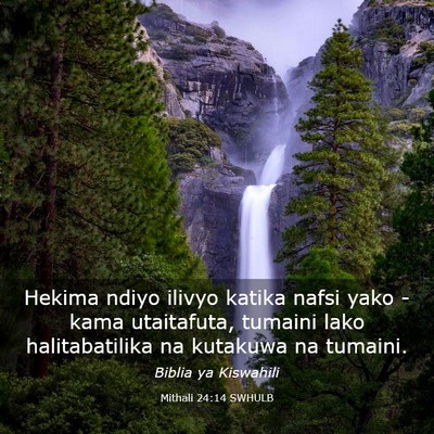 Picture 03 - Mithali 24:14 SWHULB - Hekima ndiyo ilivyo katika nafsi yako - kama - Bible Verse Picture