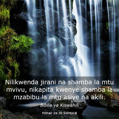 Picture 03 - Mithali 24:30 SWHULB - Nilikwenda jirani na shamba la mtu mvivu, - Bible Verse Picture
