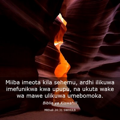 Picture 03 - Mithali 24:31 SWHULB - Miiba imeota kila sehemu, ardhi ilikuwa - Bible Verse Picture