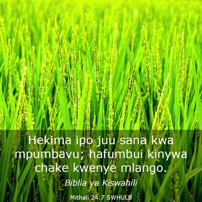 Picture 03 - Mithali 24:7 SWHULB - Hekima ipo juu sana kwa mpumbavu; hafumbui kinywa - Bible Verse Picture