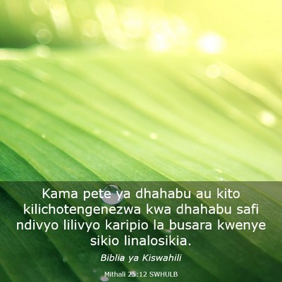 Picture 03 - Mithali 25:12 SWHULB - Kama pete ya dhahabu au kito kilichotengenezwa - Bible Verse Picture