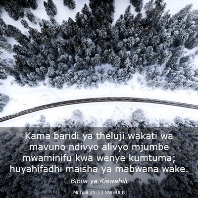 Picture 03 - Mithali 25:13 SWHULB - Kama baridi ya theluji wakati wa mavuno ndivyo - Bible Verse Picture