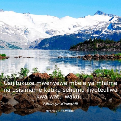 Picture 03 - Mithali 25:6 SWHULB - Usijitukuze mwenyewe mbele ya mfalme na usisimame - Bible Verse Picture