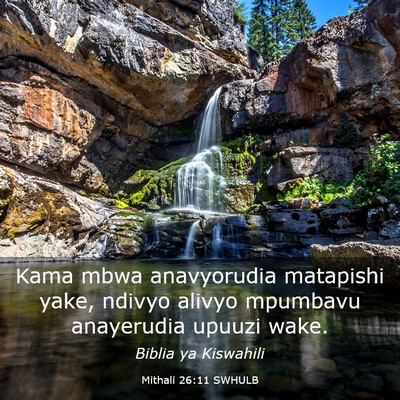 Picture 03 - Mithali 26:11 SWHULB - Kama mbwa anavyorudia matapishi yake, ndivyo - Bible Verse Picture