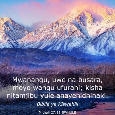 Picture 03 - Mithali 27:11 SWHULB - Mwanangu, uwe na busara, moyo wangu ufurahi; - Bible Verse Picture