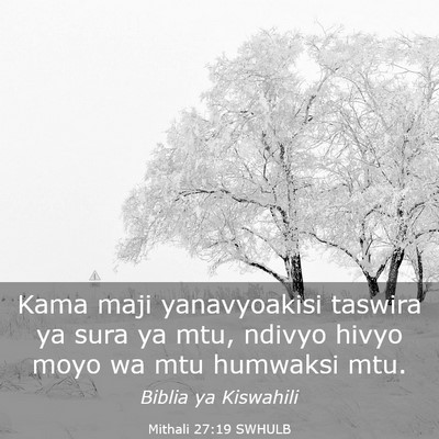 Picture 03 - Mithali 27:19 SWHULB - Kama maji yanavyoakisi taswira ya sura ya mtu, - Bible Verse Picture