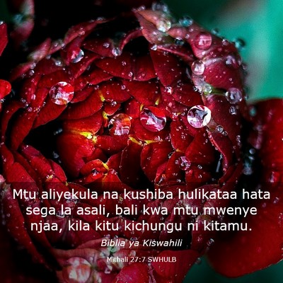 Picture 03 - Mithali 27:7 SWHULB - Mtu aliyekula na kushiba hulikataa hata sega la - Bible Verse Picture