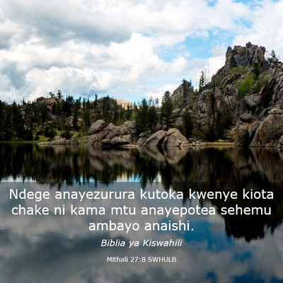 Picture 03 - Mithali 27:8 SWHULB - Ndege anayezurura kutoka kwenye kiota chake ni - Bible Verse Picture
