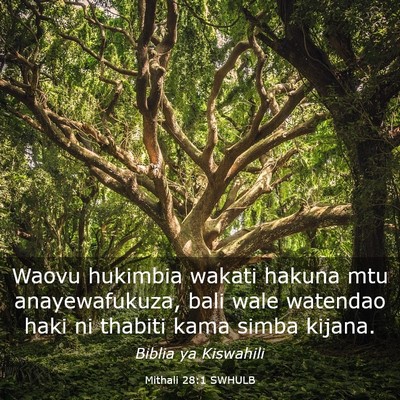 Picture 03 - Mithali 28:1 SWHULB - Waovu hukimbia wakati hakuna mtu anayewafukuza, - Bible Verse Picture