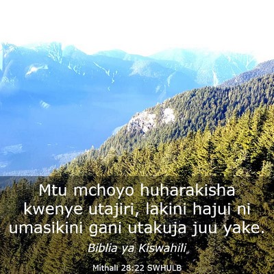 Picture 03 - Mithali 28:22 SWHULB - Mtu mchoyo huharakisha kwenye utajiri, lakini - Bible Verse Picture