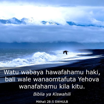 Picture 03 - Mithali 28:5 SWHULB - Watu wabaya hawafahamu haki, bali wale - Bible Verse Picture