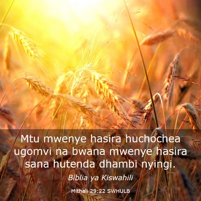 Picture 03 - Mithali 29:22 SWHULB - Mtu mwenye hasira huchochea ugomvi na bwana - Bible Verse Picture