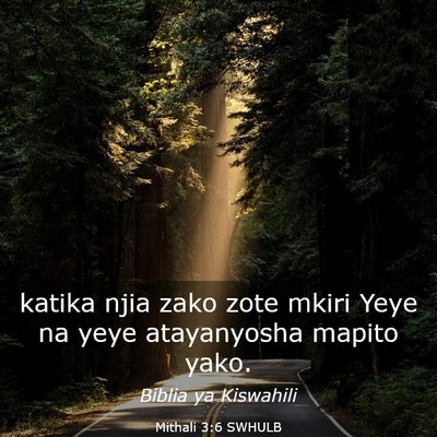 Picture 03 - Mithali 3:6 SWHULB - katika njia zako zote mkiri Yeye na yeye - Bible Verse Picture
