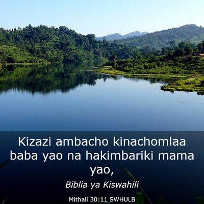 Picture 03 - Mithali 30:11 SWHULB - Kizazi ambacho kinachomlaa baba yao na - Bible Verse Picture