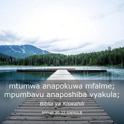 Picture 03 - Mithali 30:22 SWHULB - mtumwa anapokuwa mfalme; mpumbavu anaposhiba - Bible Verse Picture