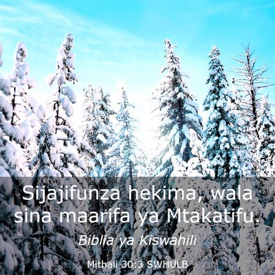 Picture 03 - Mithali 30:3 SWHULB - Sijajifunza hekima, wala sina maarifa ya - Bible Verse Picture