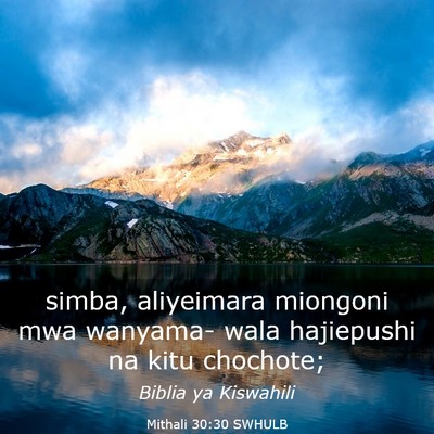 Picture 03 - Mithali 30:30 SWHULB - simba, aliyeimara miongoni mwa wanyama- wala - Bible Verse Picture
