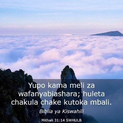 Picture 03 - Mithali 31:14 SWHULB - Yupo kama meli za wafanyabiashara; huleta chakula - Bible Verse Picture