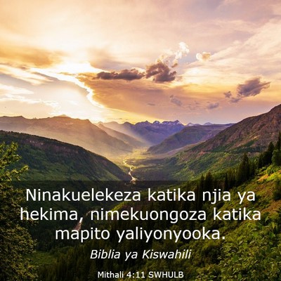 Picture 03 - Mithali 4:11 SWHULB - Ninakuelekeza katika njia ya hekima, nimekuongoza - Bible Verse Picture