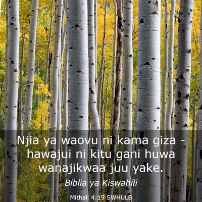 Picture 03 - Mithali 4:19 SWHULB - Njia ya waovu ni kama giza - hawajui ni kitu gani - Bible Verse Picture