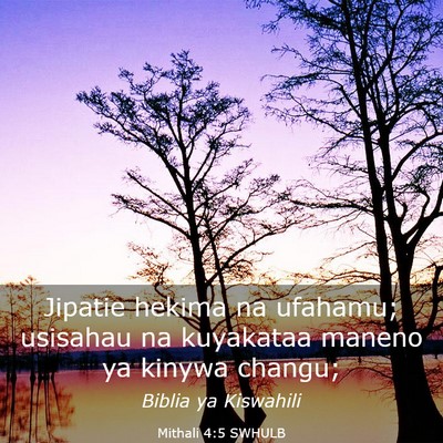 Picture 03 - Mithali 4:5 SWHULB - Jipatie hekima na ufahamu; usisahau na kuyakataa - Bible Verse Picture