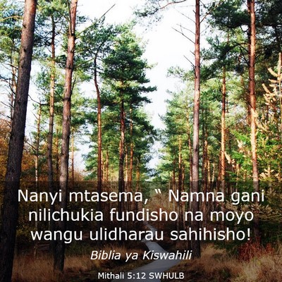 Picture 03 - Mithali 5:12 SWHULB - Nanyi mtasema, “ Namna gani nilichukia fundisho - Bible Verse Picture