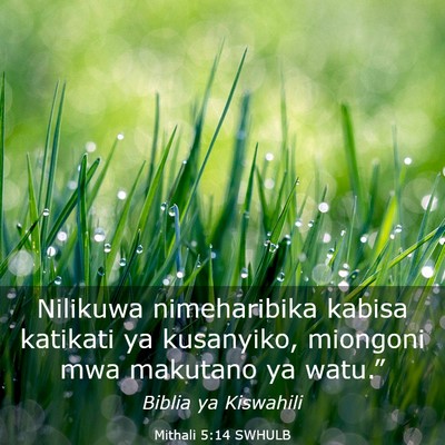 Picture 03 - Mithali 5:14 SWHULB - Nilikuwa nimeharibika kabisa katikati ya - Bible Verse Picture