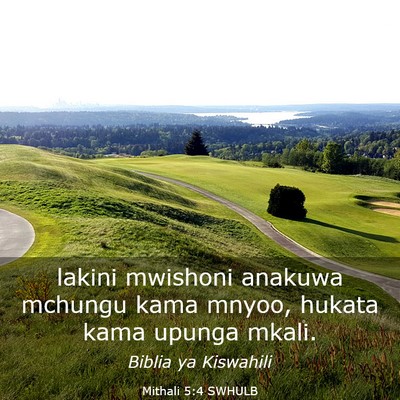 Picture 03 - Mithali 5:4 SWHULB - lakini mwishoni anakuwa mchungu kama mnyoo, - Bible Verse Picture