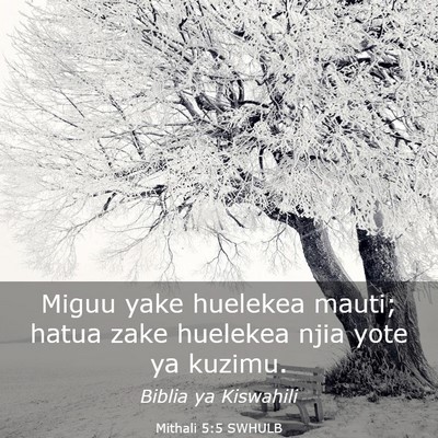 Picture 03 - Mithali 5:5 SWHULB - Miguu yake huelekea mauti; hatua zake huelekea - Bible Verse Picture