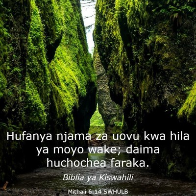 Picture 03 - Mithali 6:14 SWHULB - Hufanya njama za uovu kwa hila ya moyo wake; - Bible Verse Picture