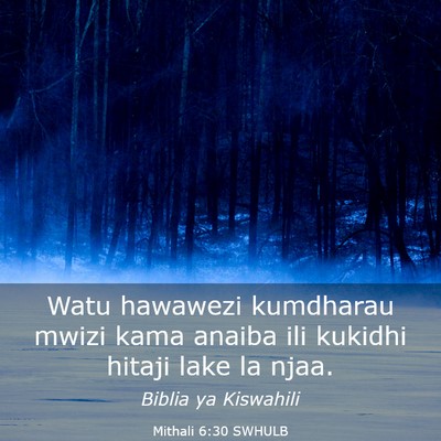 Picture 03 - Mithali 6:30 SWHULB - Watu hawawezi kumdharau mwizi kama anaiba ili - Bible Verse Picture