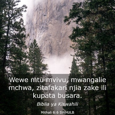 Picture 03 - Mithali 6:6 SWHULB - Wewe mtu mvivu, mwangalie mchwa, zitafakari njia - Bible Verse Picture
