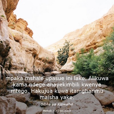 Picture 03 - Mithali 7:23 SWHULB - mpaka mshale upasue ini lake. Alikuwa kama ndege - Bible Verse Picture