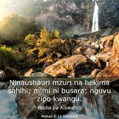 Picture 03 - Mithali 8:14 SWHULB - Ninaushauri mzuri na hekima sahihi; mimi ni - Bible Verse Picture