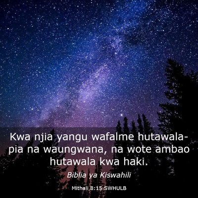 Picture 03 - Mithali 8:15 SWHULB - Kwa njia yangu wafalme hutawala- pia na - Bible Verse Picture
