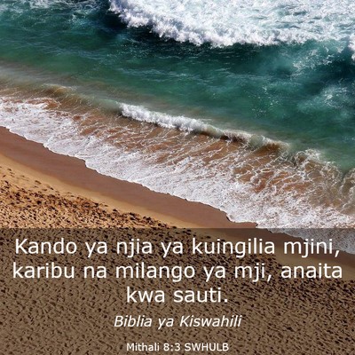 Picture 03 - Mithali 8:3 SWHULB - Kando ya njia ya kuingilia mjini, karibu na - Bible Verse Picture