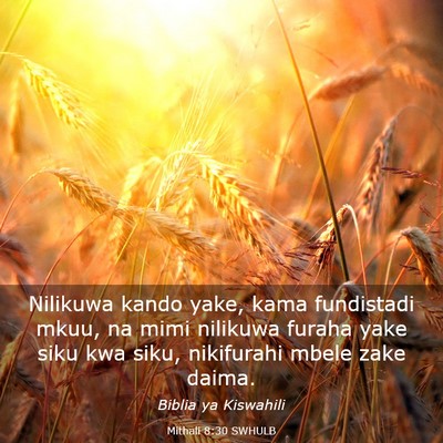 Picture 03 - Mithali 8:30 SWHULB - Nilikuwa kando yake, kama fundistadi mkuu, na - Bible Verse Picture