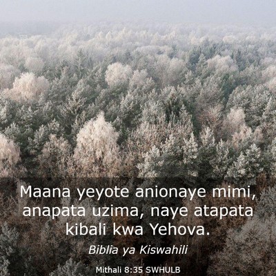 Picture 03 - Mithali 8:35 SWHULB - Maana yeyote anionaye mimi, anapata uzima, naye - Bible Verse Picture
