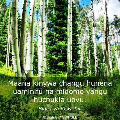 Picture 03 - Mithali 8:7 SWHULB - Maana kinywa changu hunena uaminifu na midomo - Bible Verse Picture