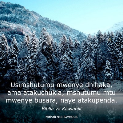 Picture 03 - Mithali 9:8 SWHULB - Usimshutumu mwenye dhihaka, ama atakuchukia; - Bible Verse Picture