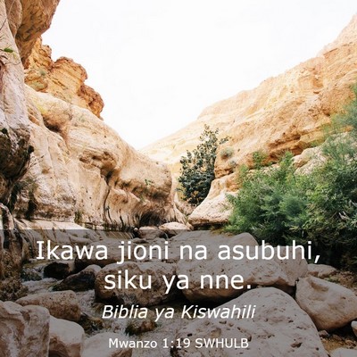 Picture 03 - Mwanzo 1:19 SWHULB - Ikawa jioni na asubuhi, siku ya - Bible Verse Picture