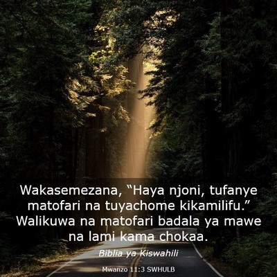 Picture 03 - Mwanzo 11:3 SWHULB - Wakasemezana, “Haya njoni, tufanye matofari na - Bible Verse Picture