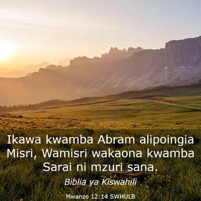 Picture 03 - Mwanzo 12:14 SWHULB - Ikawa kwamba Abram alipoingia Misri, Wamisri - Bible Verse Picture