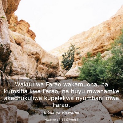 Picture 03 - Mwanzo 12:15 SWHULB - Wakuu wa Farao wakamuona, na kumsifia kwa Farao, - Bible Verse Picture