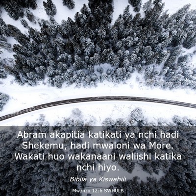 Picture 03 - Mwanzo 12:6 SWHULB - Abram akapitia katikati ya nchi hadi Shekemu, - Bible Verse Picture