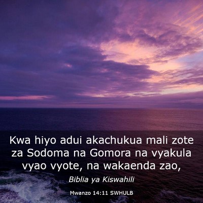 Picture 03 - Mwanzo 14:11 SWHULB - Kwa hiyo adui akachukua mali zote za Sodoma na - Bible Verse Picture