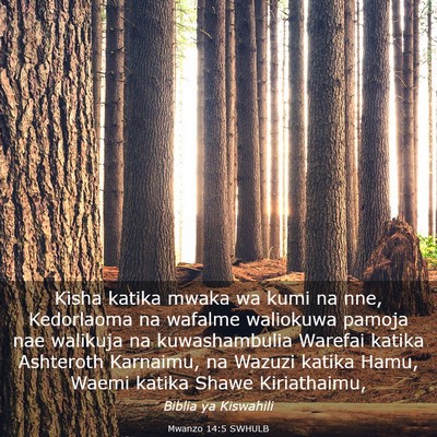 Picture 03 - Mwanzo 14:5 SWHULB - Kisha katika mwaka wa kumi na nne, Kedorlaoma na - Bible Verse Picture