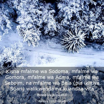 Picture 03 - Mwanzo 14:8 SWHULB - Kisha mfalme wa Sodoma, mfalme wa Gomora, mfalme - Bible Verse Picture